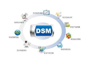 DSM能源管理服務(wù) 智能優(yōu)化，驅(qū)動可持續(xù)發(fā)展的未來